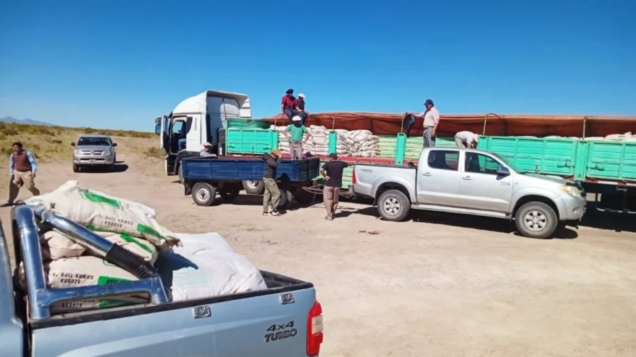 Secano de San Rafael: apoyo a productores y mejora de caminos rurales