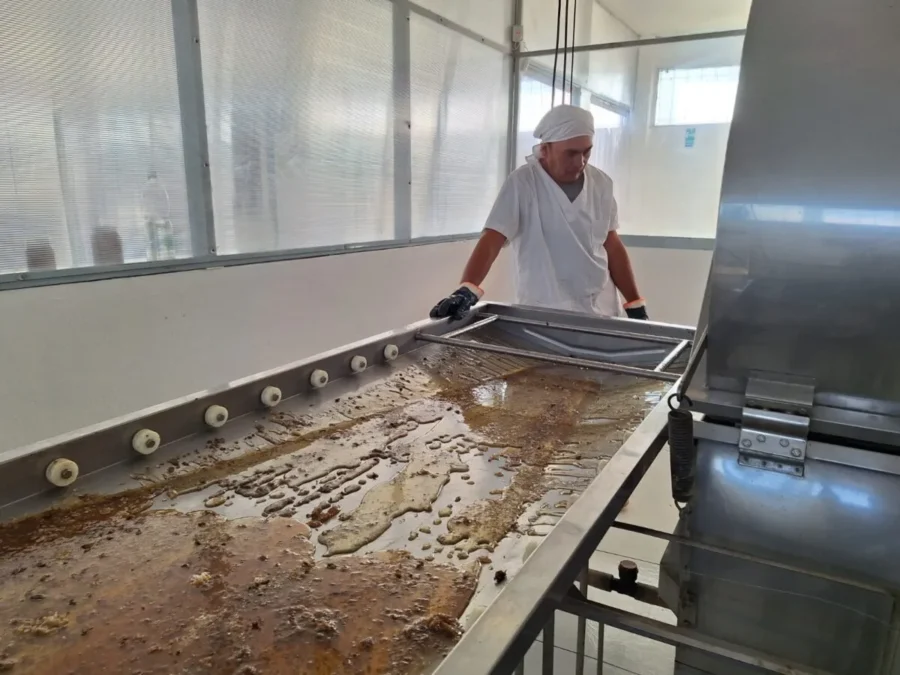 Inició la temporada de extracción en la sala comunitaria de miel